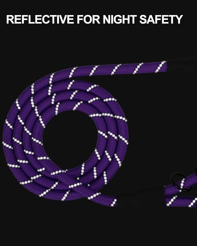 Joytale Reflective Dog Leash, Heavy Duty Nylon Rope with Poop Bag Holder, Highly Reflective Threads Leashes for Medium Large Dogs, Purple, 5'×1/2''