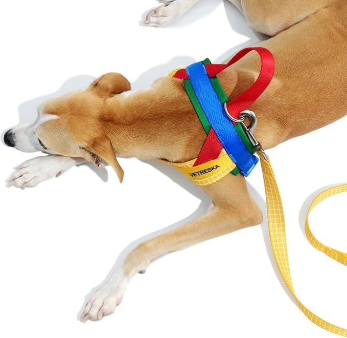 VETRESKA MoMA Dog Harness for Medium Large Dogs, Easy Walk Dog Harness and Leash Set, No Pull Dog Vest Harness for Walking and Training, Adjustable, Take Control & Anti-Twist Pet Lead Combo(Yellow, M)