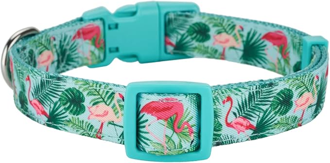 Flamingo Pattern Dog Collar, Nylon Webbing Plus Polyester Ribbon 2 Layers, for Small Dogs(Small,Flamingo)