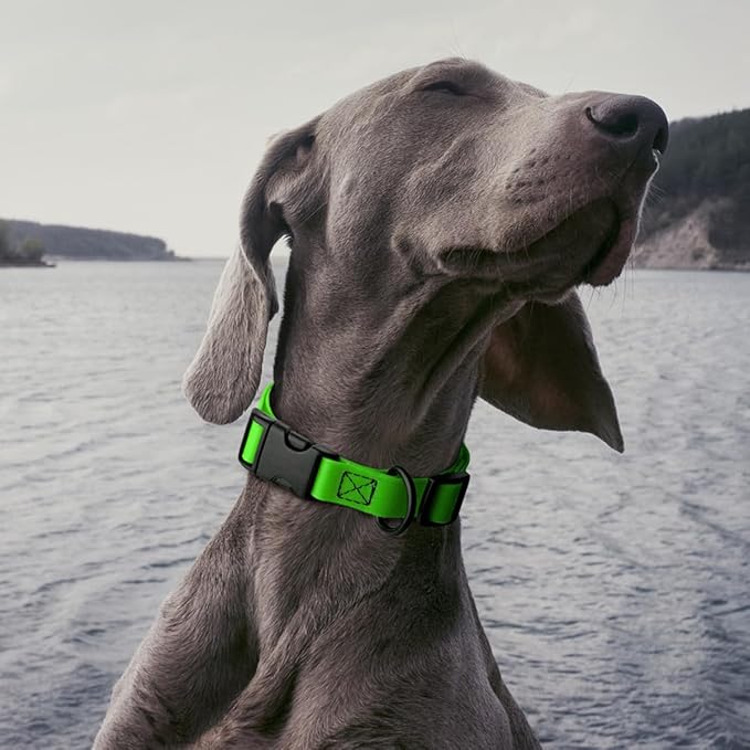 Dogline Biothane Waterproof Dog Collar with Quick Release Buckle Strong Coated Nylon Webbing with Odor- Proof for Easy Care Easy to Clean Fits Small Medium Large Dogs, Lime Green 5/8" W 9-14" L