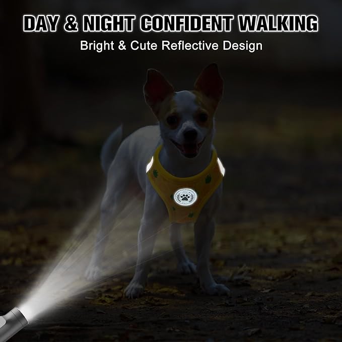 BEAUTYZOO Step in Dog Harness and Leash Set,Reflective Dog Harness No Pull No Choke Puppy Harness for Small Medium Large Dogs Cats,Soft Padded Mesh Vest Harnesses for Girl and Boy Pets, Pineapple XS