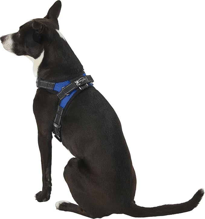 No Pull Reflective Adjustable Dog Harness With Handle- Comfortable Soft All Weather Mesh, Easy On Puppy Harness For Small Medium and Large Dogs (Blue) Small