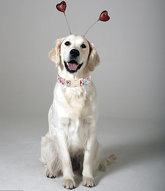 DOGWONG Valentine's Dog Collar, XL Heart Candy, Soft Cotton, Adjustable, Valentine's Day Design, Small & Medium Dogs