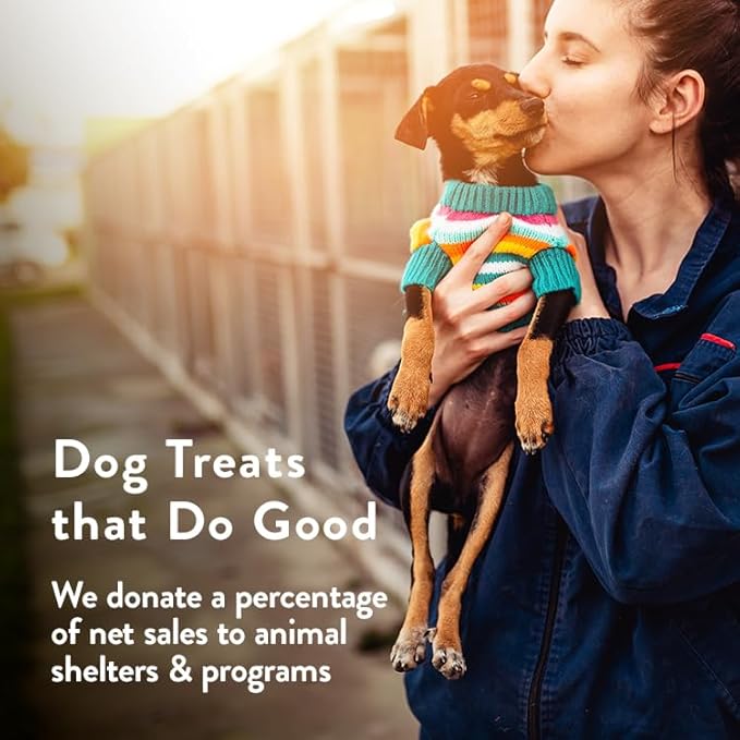 CRAFTED BY HUMANS LOVED BY DOGS Portland Pet Food Company Pumpkin Healthy Dog Treats - Grain-Free, Human-Grade, All Natural Dog Training Treats & Biscuits Made in The USA Only 1-Pack (5 oz)