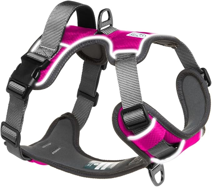 Embark Adventure Dog Harness, Reflective Trim XL Dog Harness for Extra Large Dogs No Pull - Military Grade Nylon, 2 Leash Clips & Gel Lined Handle.