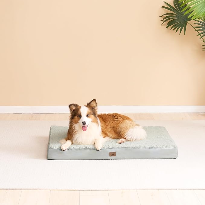 EHEYCIGA Orthopedic Medium Dog Beds for Small Dogs with Removable Washable Cover for Crate, Greyish Green, 30x20