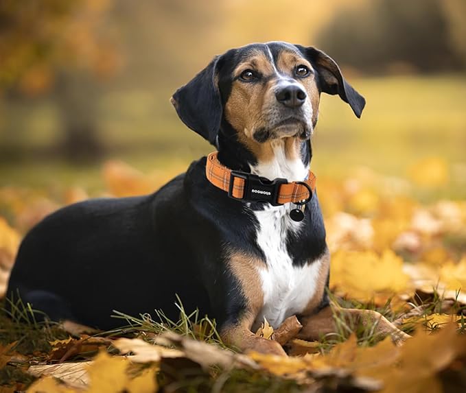 DOGWONG Cotton Dog Collar, Heavy-Duty Fall Dog Collar Durable Soft Fabric Pet Dog Collars Cute Halloween Puppy Necklace for Small Medium Large Dogs