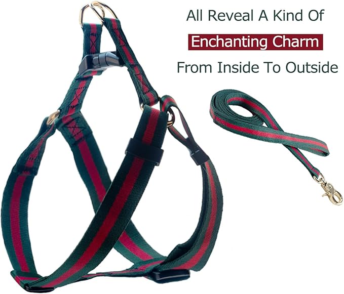 Elegant and Stylish Dog Harness and Leash,Durable Soft Neck and Chest Adjustable Pet Harness,Luxury Dog Harnesses and Dog Leashes Set Packing Gift for Medium Dogs