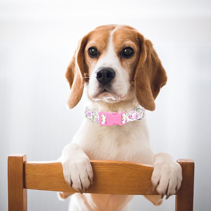 Small Dog Collar for Girl, Dog Collar with Flowers Patterns, Adjustable Comfy Soft Durable Pet Collar for XS Small Medium Large Dogs (Floral XS)