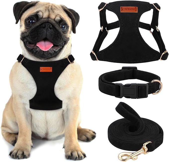 No Pull Dog Harness- Lightweight, Soft, Adjustable Small Harness Collar and Leash Set, Suitable for Cats Puppy Small and Medium-Sized Dog Outdoor Training and Running (Black, S)