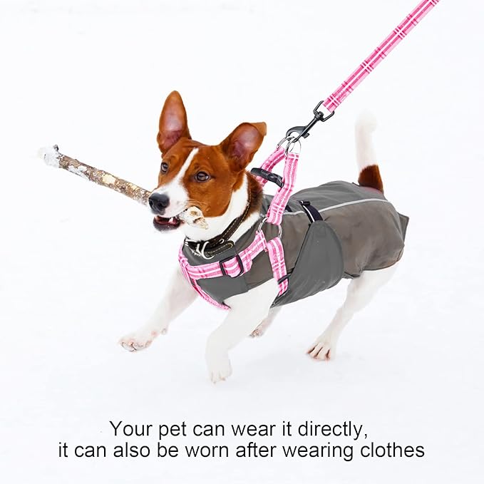 BEAUTYZOO No Pull Dog Harness and Leash Set - Adjustable Step-in Puppy Harness for Small Medium Large Dogs, Escape Proof Soft Nylon Vest with Double D Ring for Walking Running Training, Pink Plaid XS