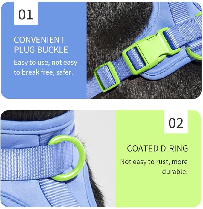 King Macks Dog Harness Set with Collar and Leash, Waste Bag Holder and Dirty Waste Bag Clip, Adjustable for Small/Medium/Large Dogs, Lightweight (Blue with Green, Small)