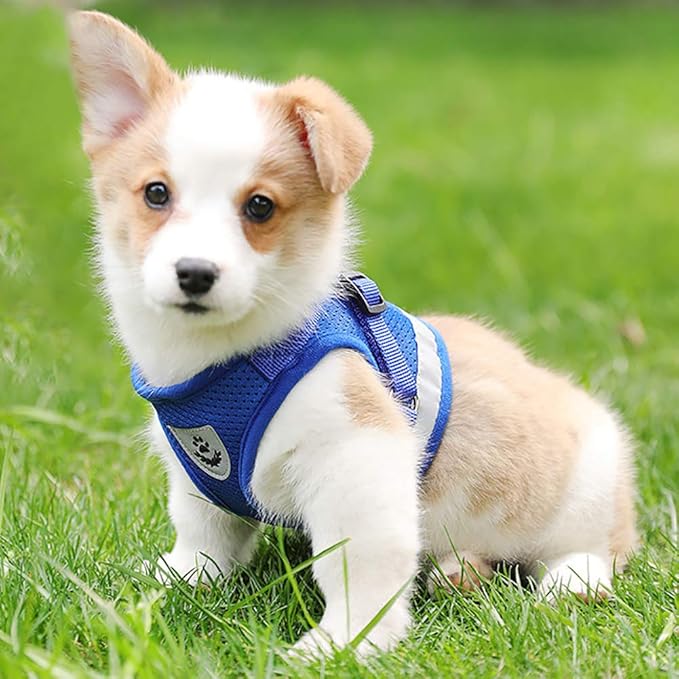FEimaX Dog Harness and Leash Set for Walking, Soft Mesh Adjustable Easy Control Lightweight Cat Vest Harnesses with Reflective Strips, Escape Proof Small Dogs Cats Vests (Blue, X-Small)
