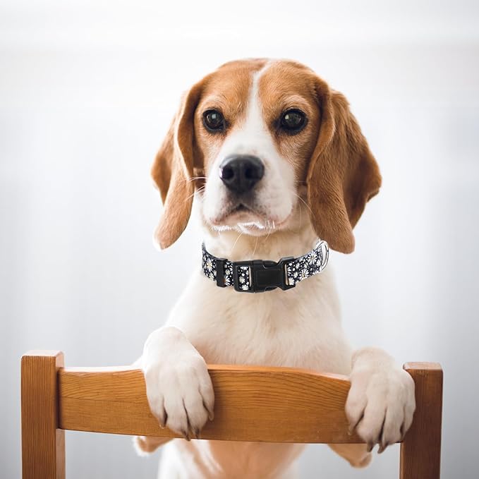 Dog Collars for Small Dogs with Daisy Patterns, Cute Dog Collar Buckle Collar for Boy Girl Dogs, Adjustable Comfy Soft Durable Pet Collar for XS Small Medium Large Extra Large Dogs (S)