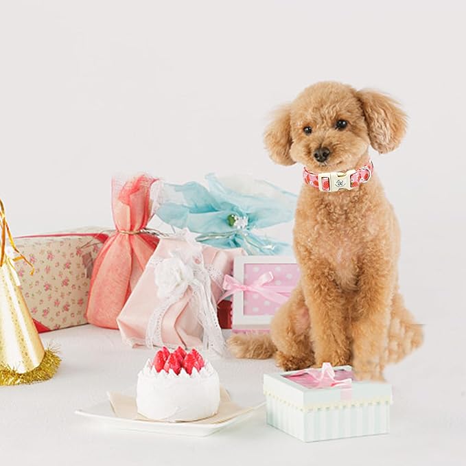 Elegant little tail Dog Collar, Strawberry Pattern Pet Collar Pink Durable Spring Female Spring Collar Adjustable Cotton Pet Collar with Quick Release Buckle for Small Dogs