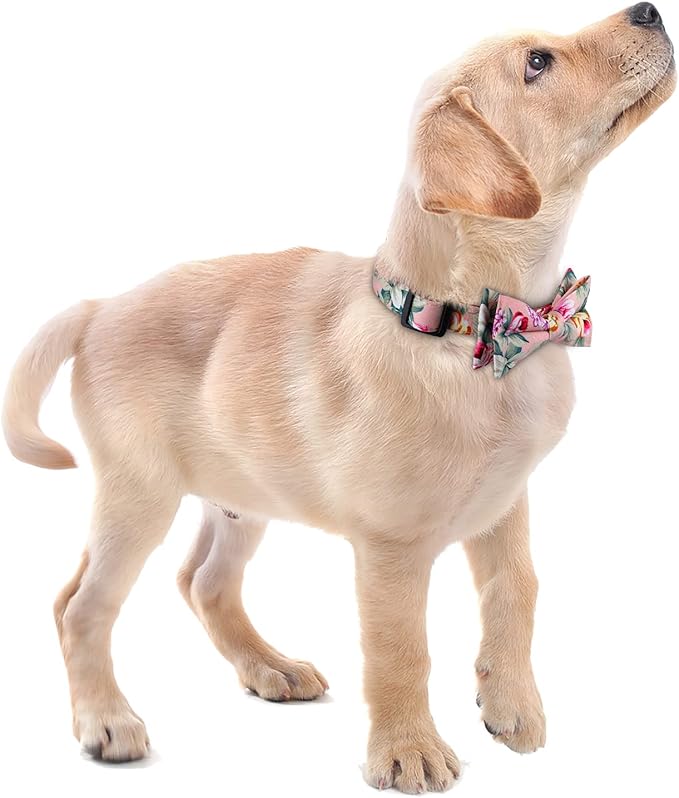 Faleela Cute Soft Girl Dog Collar with Bow, Bowtie Dog Collar for Boy,Detachable Adjustable Collar for Small Medium Large Pet