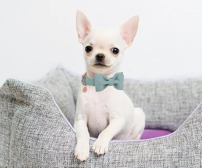 DOGWONG Cotton Dog Collar with Bow Green Pet Collar Durable Adjustable Puppy Collar for Small Medium Large Dogs