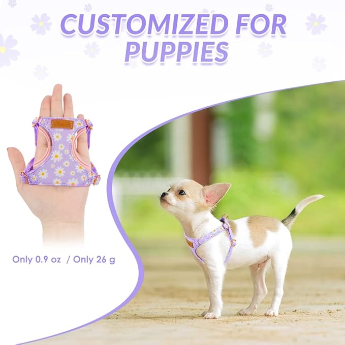 SlowTon No Pull Dog Harness with Leash - Soft Lightweight Floral Pattern Puppy Harness, Adjustable Pet Harness for Small Medium Dogs Doggie (Purple M)