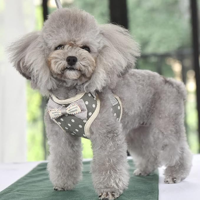 Puppy Harness and Leash Set for Walking Escape Proof Adjustable Soft Padded Mesh Front Vest Harness with Leash and Cute Bows Easy to Put On & Take Off Step in Dog Harness for Small Dogs and Cats