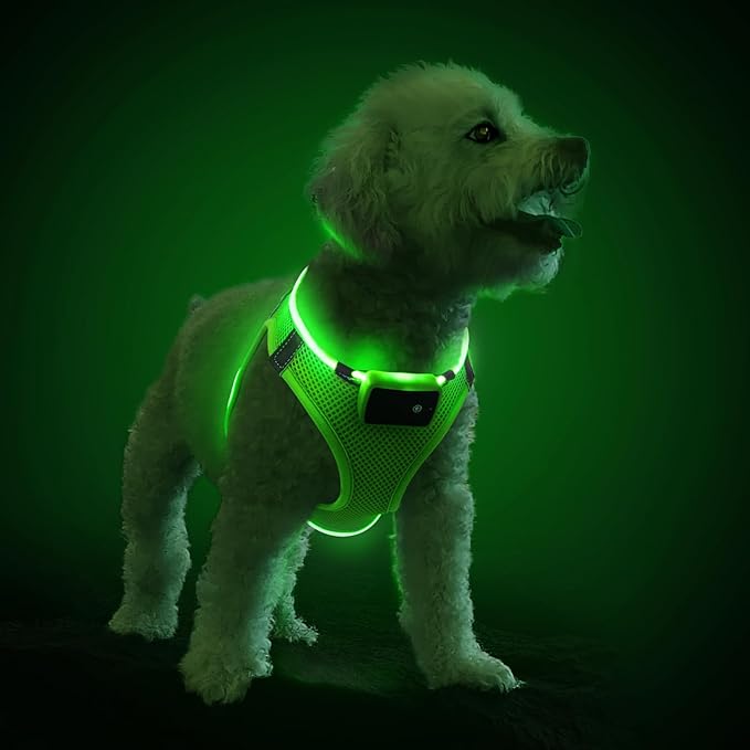 PceoTllar Light Up Dog Harness, LED No Pull Reflective Dog Harness, Flashing Lighted for Night Walking - Small/Medium, (Green M)