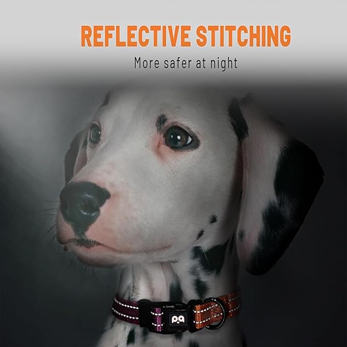 Dog Collar Cute Flower, Reflective Adjustable Basic Collars for Girl Female Small Medium Large Dogs Walking Running(Small,Orange Red)