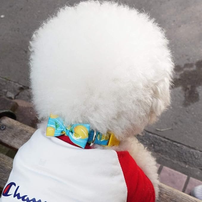 azuza Dog Collar Bow Tie, Soft Adjustable Bow tie Dog Collars for Small Dogs