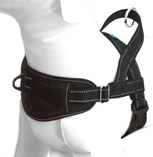 Max and Neo Passport Reflective Dog Harness - Medium, Black