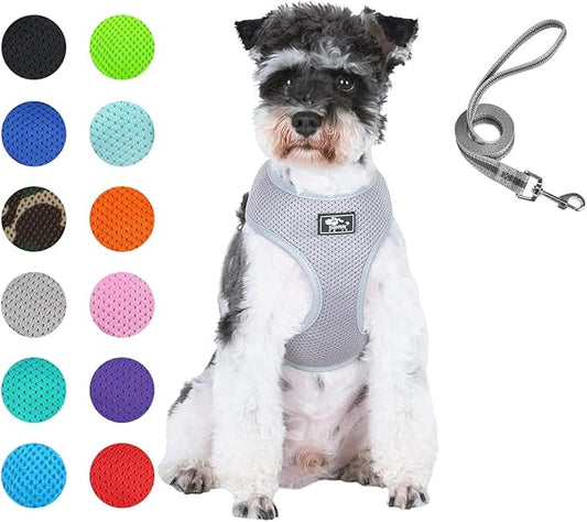 Puppy Harness and Leash Set - Vest for Small and Medium Dogs - Adjustable Reflective Step-in Harness for Dogs, Cats - Soft Mesh Comfort Fit No Pull No Choke (M, Grey)