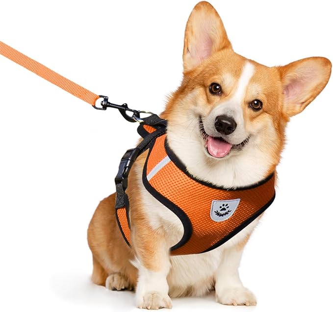 shudyear Dog Walking Chest Harness and Leash, Anti-Escape Adjustable Soft Mesh Dog Leash and Harness Set for Small Dog and Puppies, Vest for Medium Sized Dogs (Orange, M)
