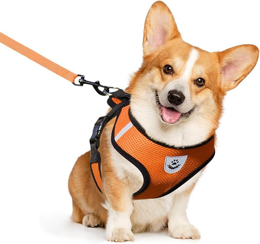 shudyear Dog Walking Chest Harness and Leash, Anti-Escape Adjustable Soft Mesh Dog Leash and Harness Set for Small Dog and Puppies, Vest for Medium Sized Dogs (Orange, M)