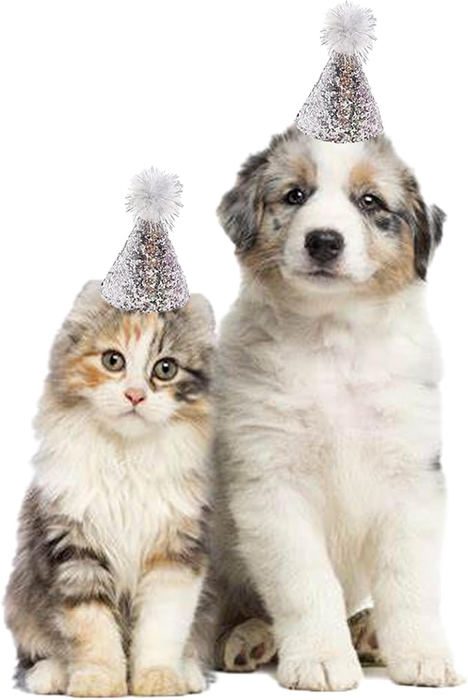10PCS Dog Birthday Hat Set for Small Puppies Cat Kitten Rabbit, Mini Party Hat with Adjustable Headbands, Cute Pet Hat with Pompons for Party Decoration Accessories (Small)