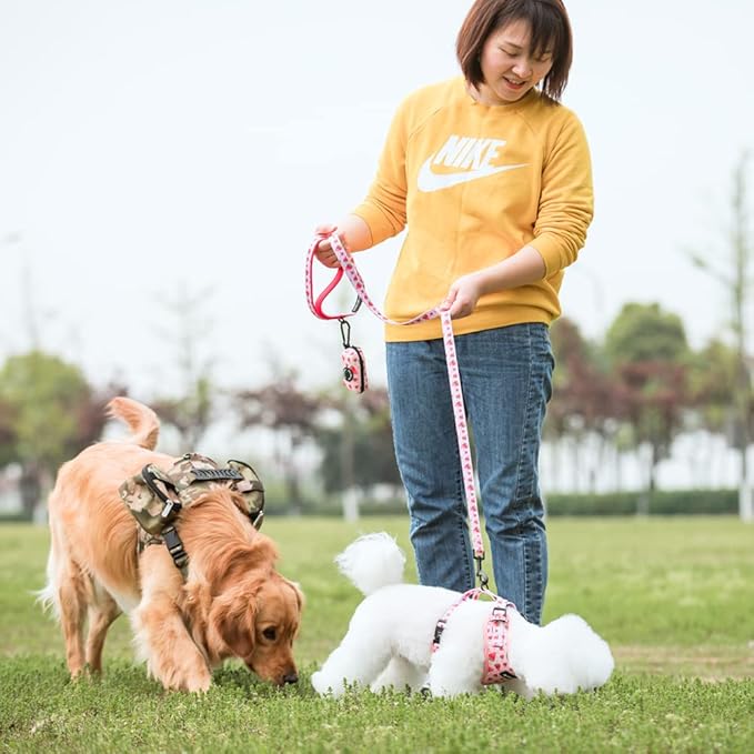 Coowone Dog Harness and Leash Set, Adjustable Puppy Harness and Soft Padded Dog Vest Harness for Small Medium Large Dogs