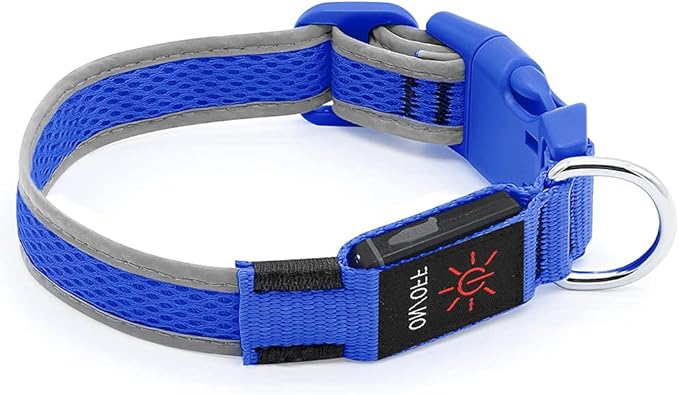 YFbrite Light up Dog Collar, USB Rechargeable LED Puppy Collar Super Bright Adjustable Glowing Dog Lights for Night Walking (Blue, Small)