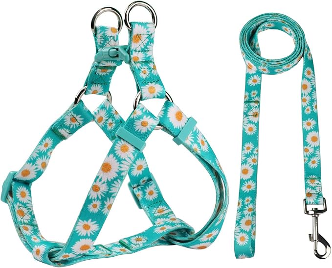 Green Daisy Pattern Basic Dog Halter Harness Leash Set, No Pull, Easy Wear for Small Dogs.(XS, Green Daisy)
