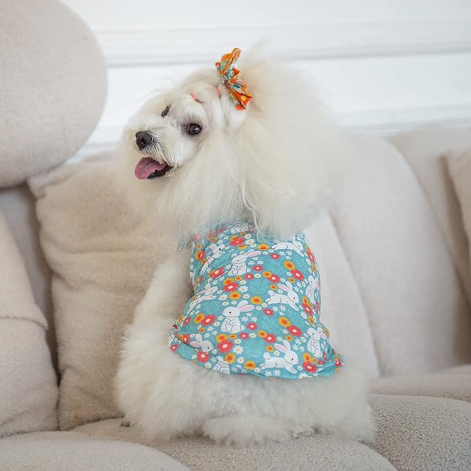 CuteBone Dog Shirts 2-Pack St.Patrick's Day & Easter Soft Pet Clothes Breathable Summer Vest for Small Puppy and Stretchy Cat Apparel 2BX12M