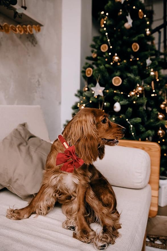 Unique style paws Silk Halloween Dog Collar Adjustable Durable Dog Collar with Bow Holiday Bowtie Collar for X-Large Dogs