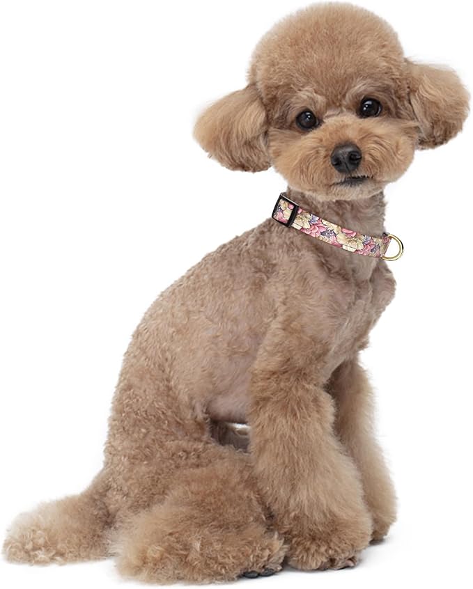 Reflective Dog Collar for Small Dogs, Cute Flower Theme Adjustable Heavy-Duty Nylon Puppy Collar for Boy and Girl Female, Soft Pet Accessories with Quick Release Buckle, Colorful Floral