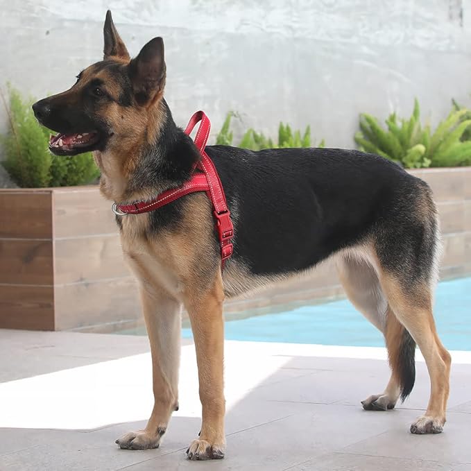 Plutus Pet No Pull Dog Harness with Breathable Mesh Padded, Adjustable Reflective Escape Proof Dog Harness, Quick Fit Dog Vest Harness for Small Medium Large Dogs(L, Red)