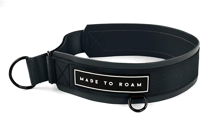 MADE TO ROAM Premium Everyday Dog Collar - Martingale Style No Pull Vegan Leather Collar, Heavy Duty and Lightweight for Small, Medium, Large Dogs (New York Afterlight, Size 12)
