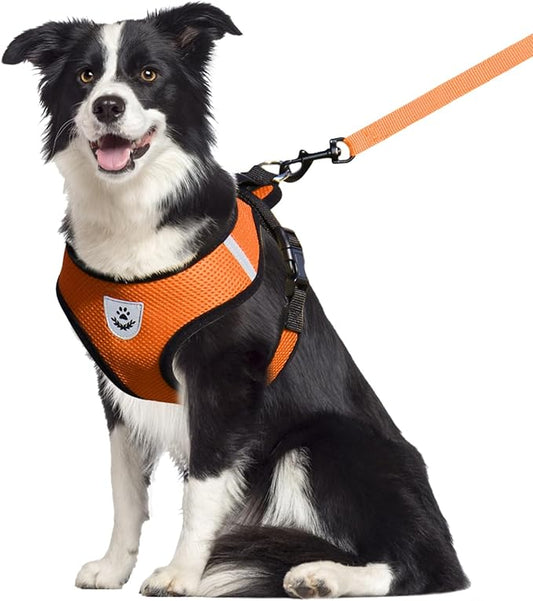 shudyear Dog Walking Chest Harness and Leash, Anti-Escape Adjustable Soft Mesh Dog Leash and Harness Set for Small Dog and Puppies, Vest for Medium Sized Dogs (Orange, XL)