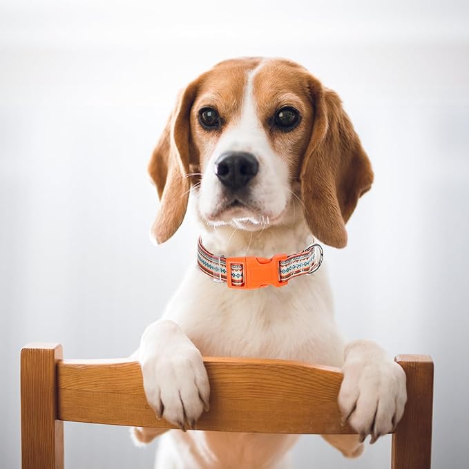 Dog Collar for Puppy Small Dogs, Orange Dog Collar with Tribal Ethnic Aztec Patterns, Adjustable Safety Nylon Dog Collars Buckle Collar for Small Medium Large Boy Girl Dogs (XS)