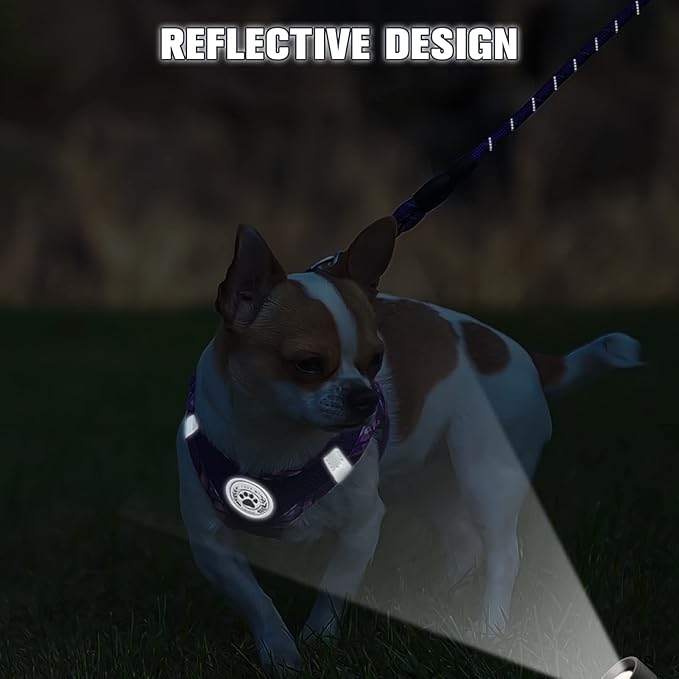 BEAUTYZOO Dog Harness and Leash Set for Small Medium Dogs,No Pull Step-in Harness for Puppy S M Sized Dogs and Cats,Air Mesh Adjustable Breathable Soft No Chock Escape Proof Vest Harnesses,Purple XXS