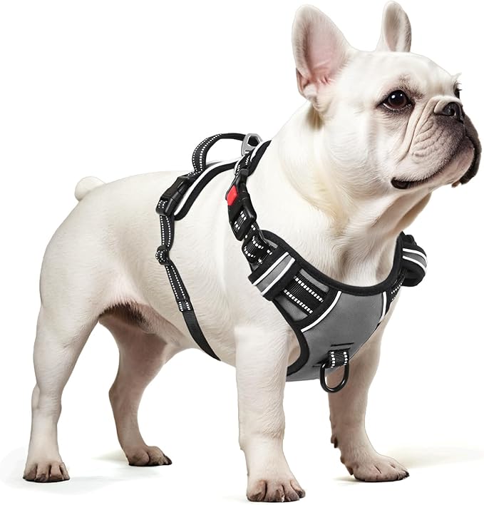 Timos Dog Harness Small Sized, No Pull with Neck Lockable Snap,No Choke Front Clip Dog Reflective Harness,Adjustable Metal Rings 3 Buckles,Easy Control Handle for Small Dogs Gray XS