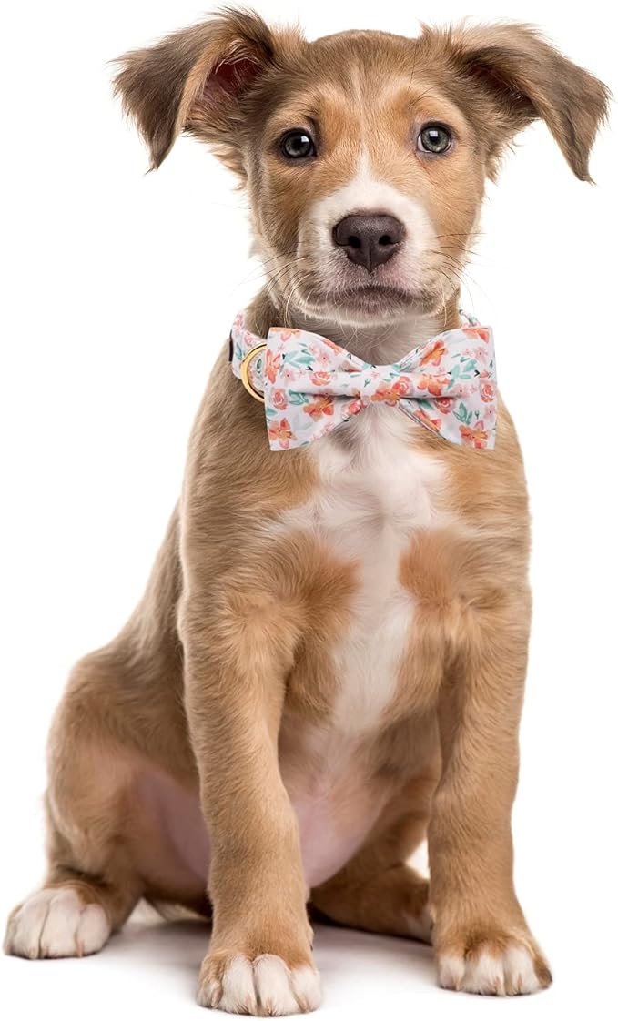 Lionet Paws Dog Collar with Bow Tie - Soft Comfortable Adjustable Collars with Metal Buckle for Large Dogs, Neck 16-24 Inches