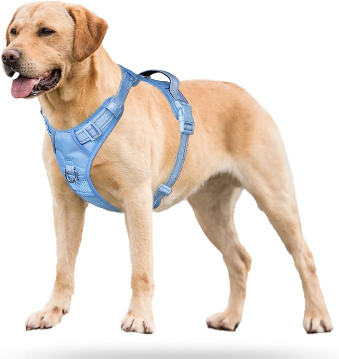 PoyPet No Pull Dog Harness, No Choke Reflective Dog Vest, Adjustable Pet Harnesses with Easy Control Padded Handle for Small Medium Large Dogs(Light Blue Matching Trim,L)