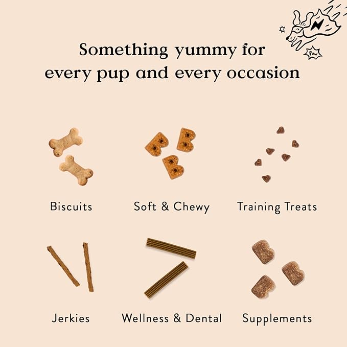 Bocce's Bakery All-Natural, Small Batch, Organic Dog Treats, Spiced Cake Biscuits, Wheat-Free, Limited-Ingredient, Made in The USA with 100% Recyclable Packaging, 12 oz Bag