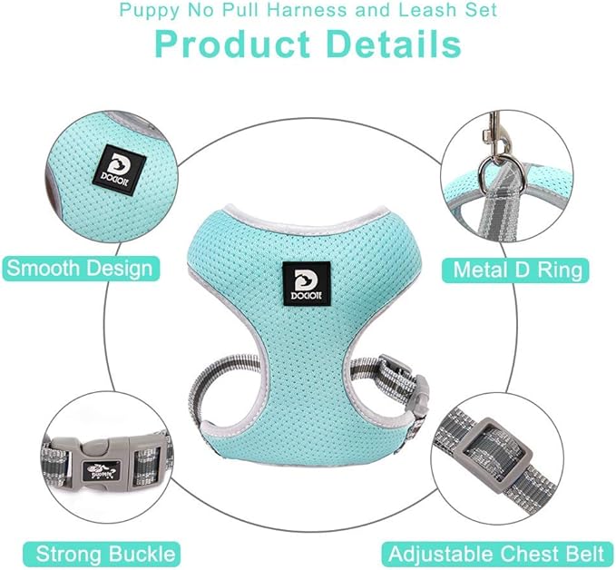 Puppy Harness and Leash Set - Dog Vest Harness for Small Dogs Medium Dogs- Adjustable Reflective Step in Harness for Dogs, Cats - Soft Mesh Comfort Fit No Pull No Choke (S, Mint Green)