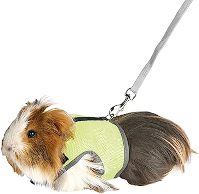 MANON ROSA Rabbit Harness and Leash Set - Adjustable Escape-Proof Training and Walking Gear for Guinea Pigs Bunnies Chinchillas Hamsters Ferrets Rats Kittens and Small Dogs Puppies Cats (Green,S)