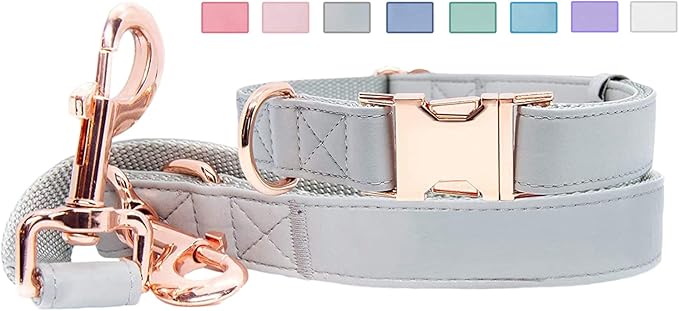 Soft Leather Dog Collar and Leash (6.6') Set - Stylish Rose Gold Heavy Duty Metal Buckle, 4 Adjustable Lengths Leash for Small Medium Large Dogs - Comfortable & Easy to Clean Grey XS(8"-12")