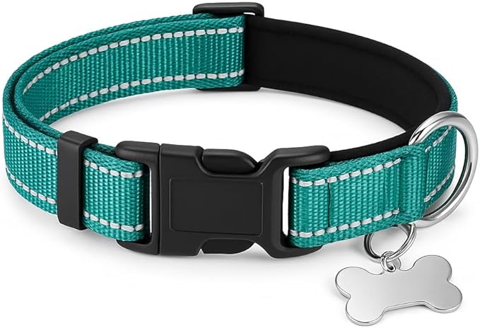 TECEUM Reflective Dog Collar – Aquamarine – M – Extra Soft Padding – Basic Nylon Pet Collar – Quick Release Buckle – Fits Small, Medium and Large Dogs, Puppies, Cats – ESA & Service Dog Options